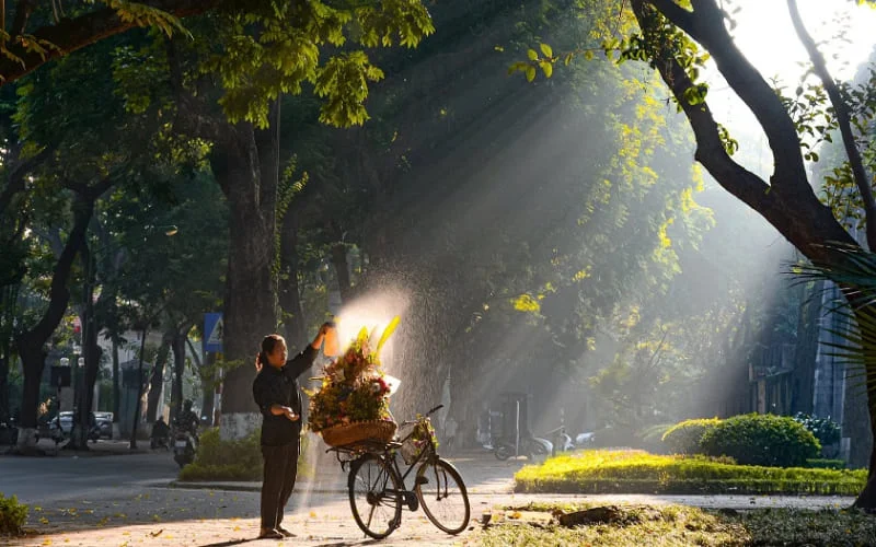 Phố Phan Đình Phùng & Hoàng Diệu – Biểu tượng mùa thu Hà Nội