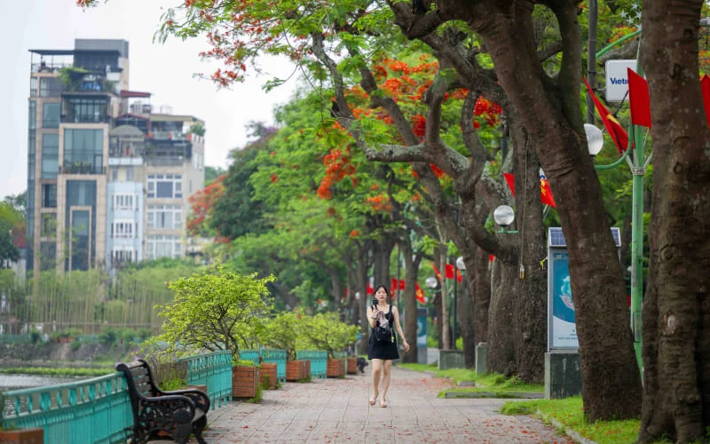 Đường Thanh Niên – Con đường giữa hai hồ