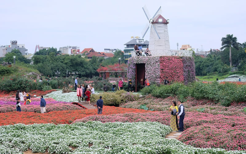 Bãi đá sông Hồng & Thung lũng hoa Hồ Tây – Sắc hoa rực rỡ giữa mùa thu